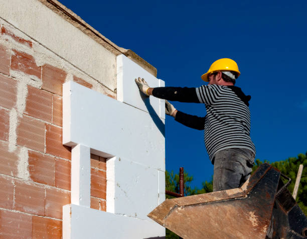 Best Spray Foam Insulation  in Alexandria, VA